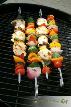 Outdoorchef Barbecue Grillspies