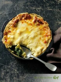 Outdoorchef Aromapan Van Gietijzer ø 23 Cm (flavouring Pan) -Broil King Sale 3785b4470190a6c633b3037b68d193d6