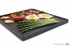 Broil King Plancha Voor Royal En Monarch -Broil King Sale 5672ea93497e0db3a93336b357b7f400