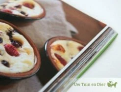 Outdoorchef Kookboek Grillchef 4 Seasons -Broil King Sale 634cd72733307da5e97bea9d981c03bb