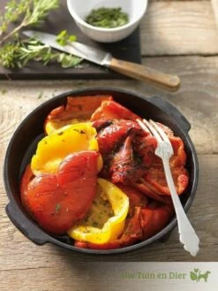 Outdoorchef Aromapan Van Gietijzer ø 23 Cm (flavouring Pan) -Broil King Sale 87b2f55b59b12a1c486d774706f456c5