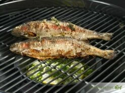 Outdoorchef Aromapan Van Gietijzer ø 23 Cm (flavouring Pan) -Broil King Sale ebe0c5c42a8148269581162948383c1d