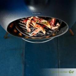 Morso Grill Forno Barbecue -Broil King Sale product 1626374365