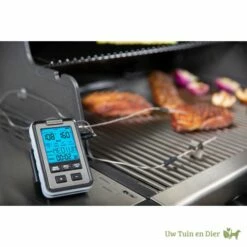 Broil King Digitale Barbecue Thermometer -Broil King Sale product 1627377890