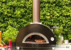Alfa Forno One Buitenoven Pizzaoven
