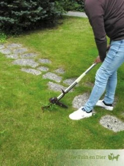 Easyweed Onkruidtrekker Bsi 12 Easyweed Onkruidtrekker Bsi -Broil King Sale product 1687189971